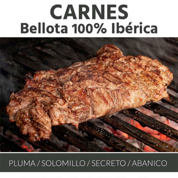Selección Carne de Bellota 100% Ibérica congelada compuesta de: 2 piezas de Pluma, 2 de Solomillo, 2 de Secreto y 2 de Abanico. En total un pack de 8 piezas en 4 bolsas de 600 a 700 gr por bolsa + regalo geranio